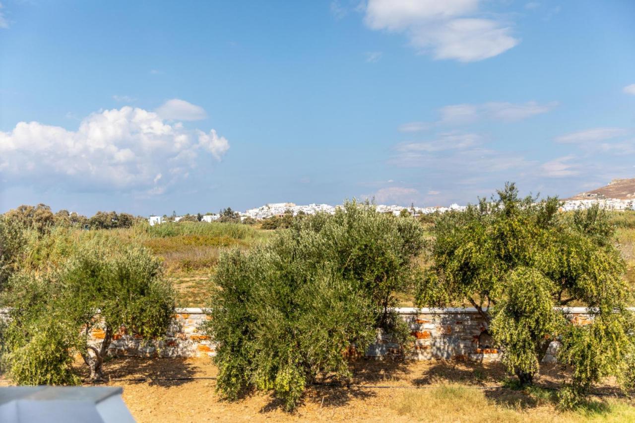 Surfer Paradise Naxos City Zewnętrze zdjęcie