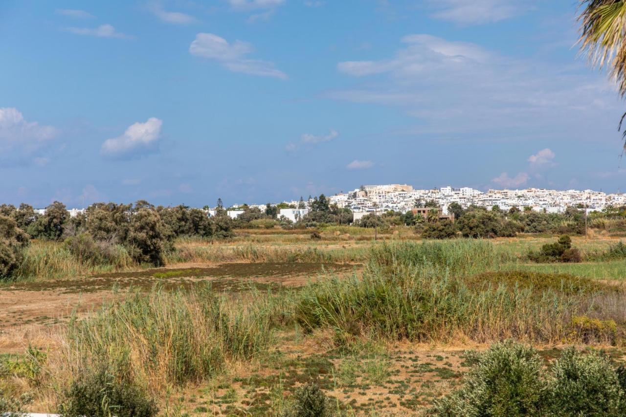 Surfer Paradise Naxos City Zewnętrze zdjęcie