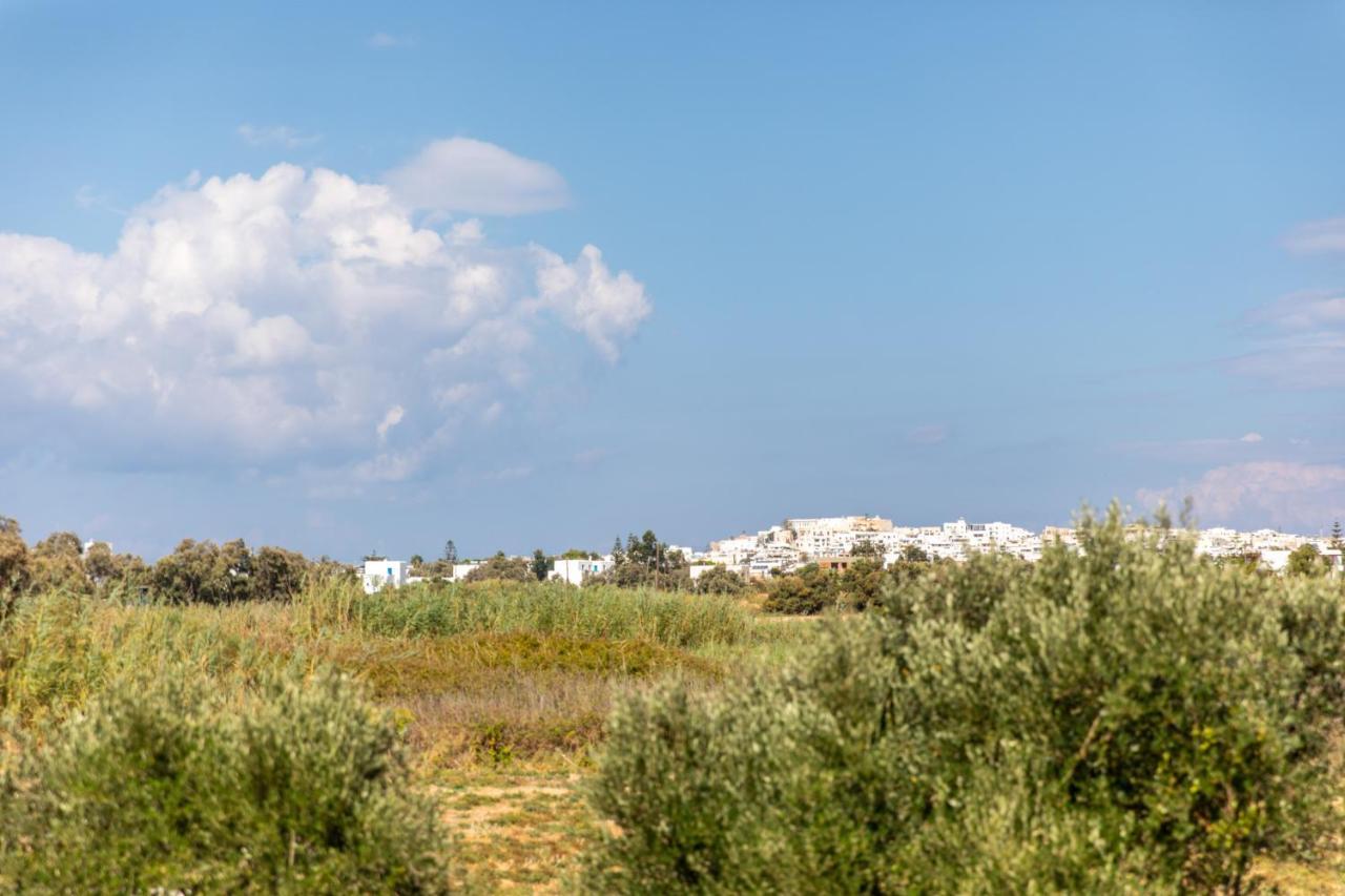 Surfer Paradise Naxos City Zewnętrze zdjęcie
